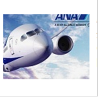 Introduzione di ANA All Nippon Airways