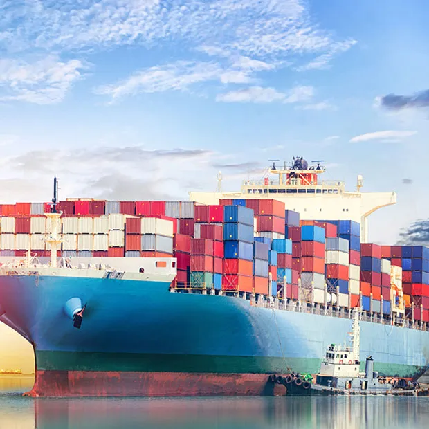 Quali sono i tipi comuni di container utilizzati nella spedizione internazionale?